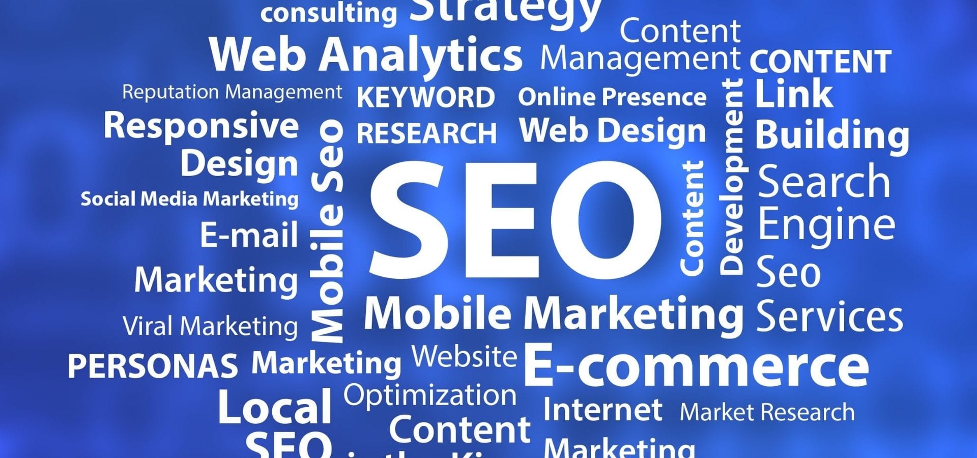 seo tampa